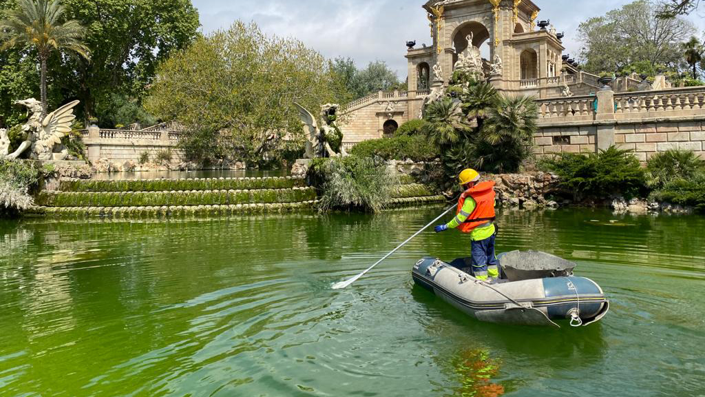 Limpieza y mantenimiento de fuentes 
